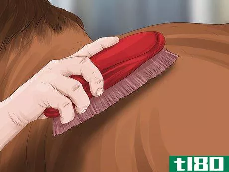 Image titled Care for Your Horse After Riding Step 9