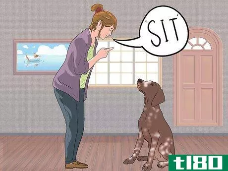 Image titled Care for German Shorthaired Pointers Step 17