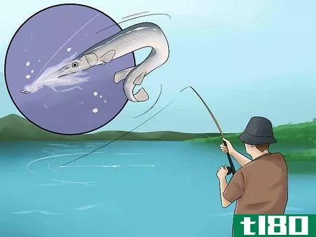 Image titled Catch Garfish Step 12