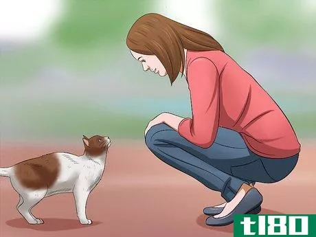 Image titled Carry a Cat Step 10