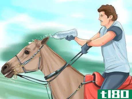 Image titled Care for Your Horse In the Winter Step 16