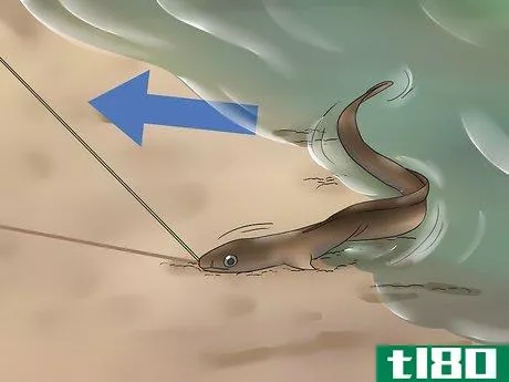 Image titled Catch Eels Step 19