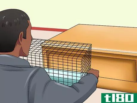 Image titled Care for a Pregnant Pet Rat Step 10