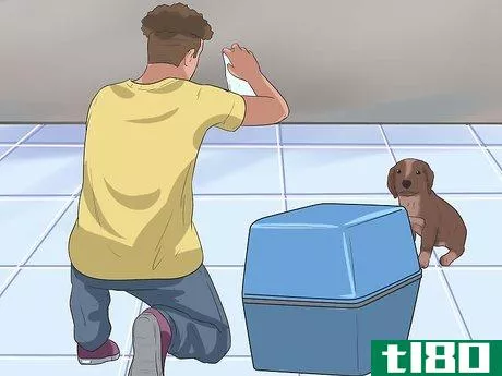 Image titled Care for German Shorthaired Pointers Step 16
