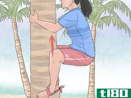 Image titled Free Climb a Tree Step 20
