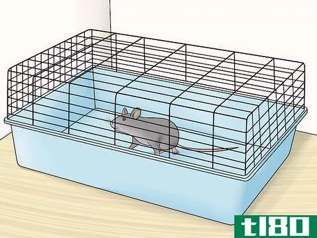 Image titled Care for an Injured Pet Mouse Step 10