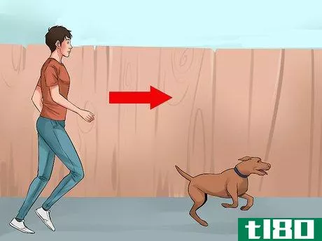 Image titled Catch a Runaway Dog Step 1