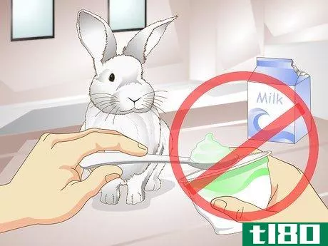 Image titled Care for a Rabbit with GI Stasis Step 11