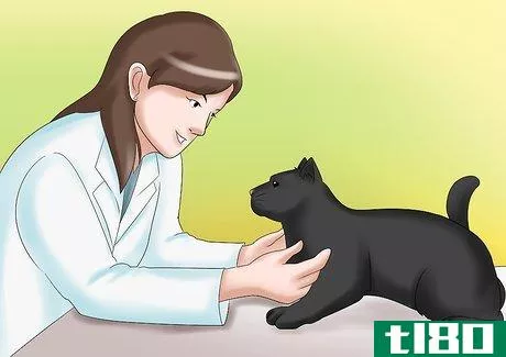 Image titled Care for a Cat with Kidney Failure Step 1