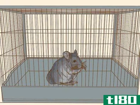 Image titled Clean a Chinchilla Cage Step 24