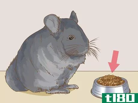 Image titled Clean a Chinchilla Cage Step 3