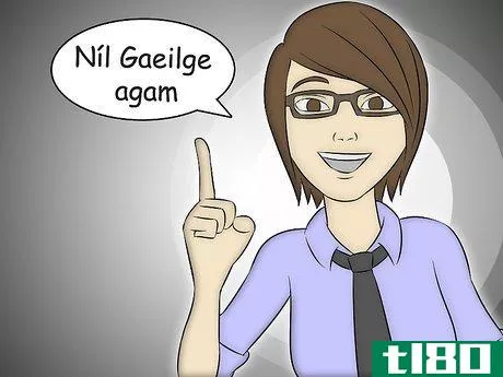 Image titled Learn Common Phrases in Irish Step 10