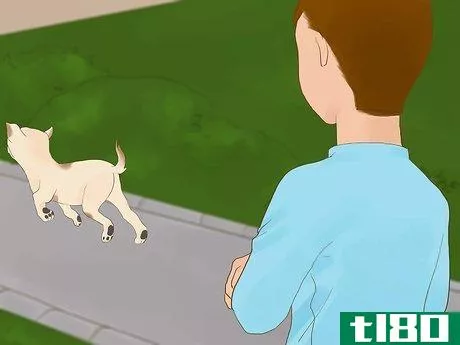 Image titled Catch Your Dog when They Run After Another Dog or Person Step 1