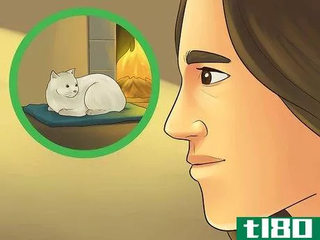 Image titled Catify Your Room Step 1