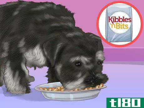 Image titled Care for a Miniature Schnauzer Puppy Step 9
