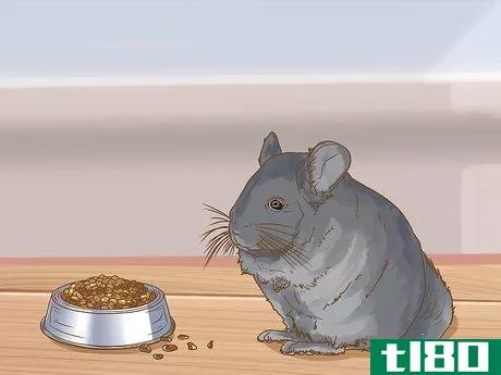 Image titled Clean a Chinchilla Cage Step 16