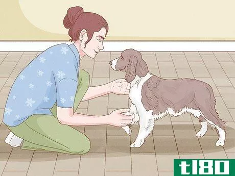 Image titled Make Your Dog More Playful Step 11