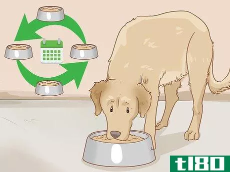 Image titled Care for a Dog Before, During, and After Pregnancy Step 8