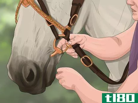 Image titled Care for Your Horse After Riding Step 4
