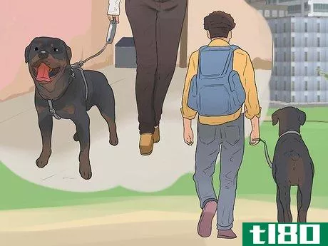 Image titled Care for Rottweilers Step 10