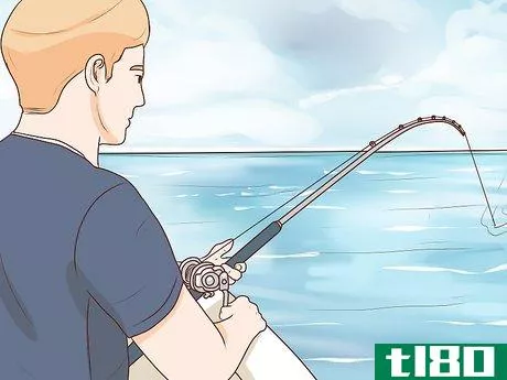 Image titled Catch Kingfish Step 15