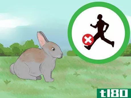 Image titled Catch a Pet Rabbit Step 1