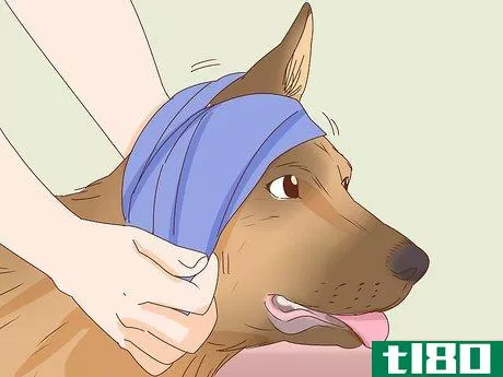 Image titled Care for a Dog's Torn Ear Step 4