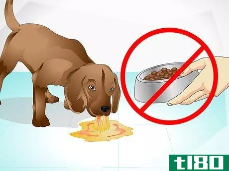 Image titled Care for a Sick Dog Step 4