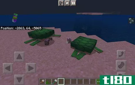 Image titled Minecraft Turtles Post Egg laying