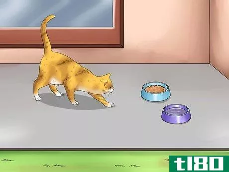 Image titled Keep a Stray Cat Away from Your Cat Step 2