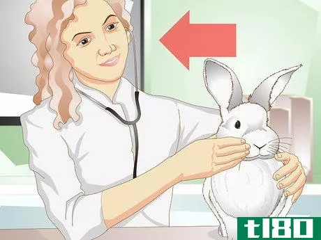 Image titled Care for a Rabbit with GI Stasis Step 5