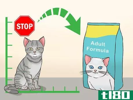 Image titled Change Cat Food Step 10
