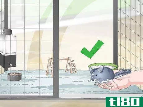 Image titled Clean a Pet Cage with a Fleece Bottom Step 12