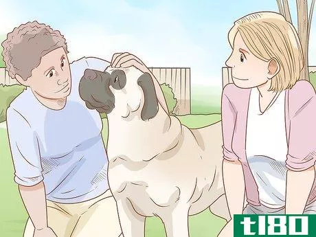 Image titled Care for an English Mastiff Step 12