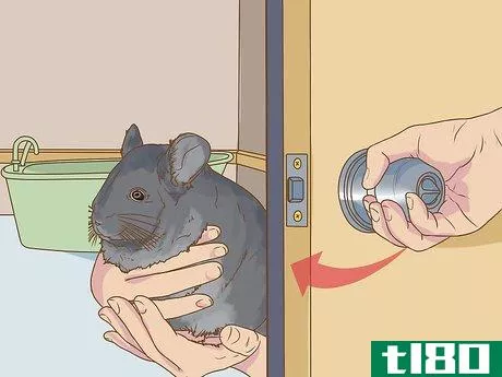 Image titled Clean a Chinchilla Cage Step 9