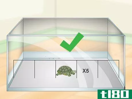 Image titled Care for a Turtle Step 1