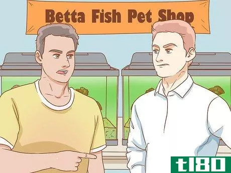 Image titled Help Pet Shop Bettas Step 3