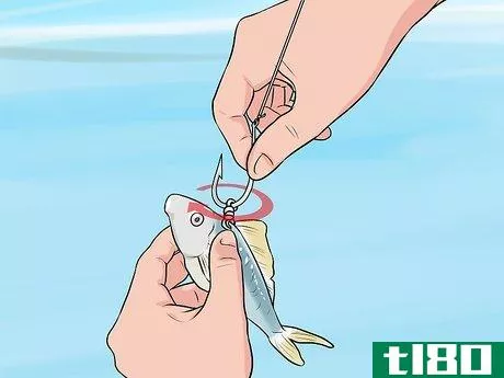 Image titled Kite Fish Step 24