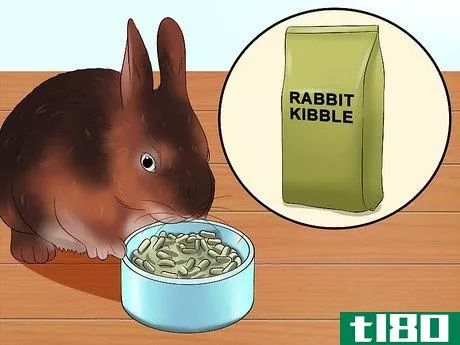 Image titled Care for Rex Rabbits Step 12