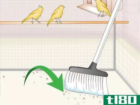 Image titled Clean and Maintain a Canary Habitat Step 11