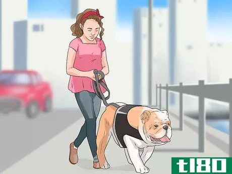 Image titled Care for an English Bulldog Step 17