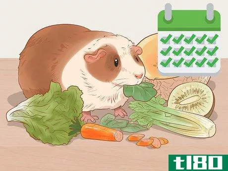 Image titled Care for a Crested Guinea Pig Step 9