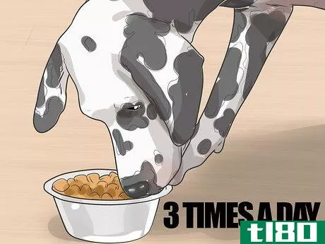 Image titled Care for a Dalmatian Step 2