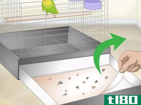 Image titled Clean and Maintain a Lovebird Habitat Step 2