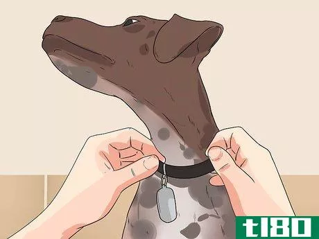 Image titled Care for German Shorthaired Pointers Step 20