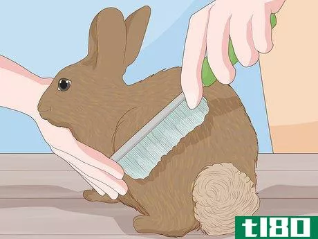Image titled Care for a New Pet Rabbit Step 9