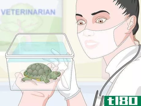 Image titled Care for a Turtle Step 13