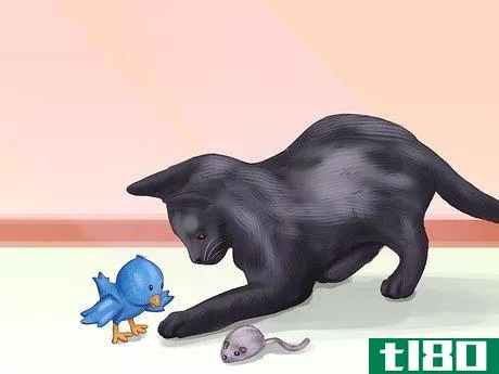 Image titled Care for a Russian Blue Step 11
