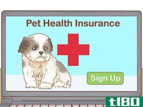 Image titled Care for a Shih Tzu Puppy Step 8