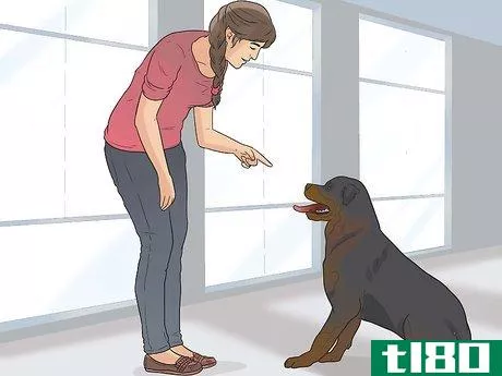 Image titled Care for Rottweilers Step 16